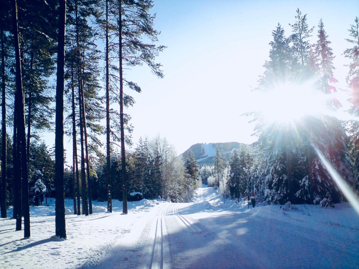 Vasa Ski Lodge Mora Dış mekan fotoğraf